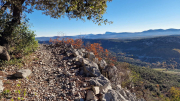 Bueges_22_12-32