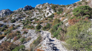 Bueges_22_12-36