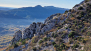 Bueges_22_12-42