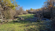 Bueges_22_12-57