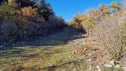 Bueges_22_12-59