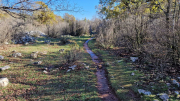 Bueges_22_12-61