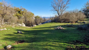 Bueges_22_12-62