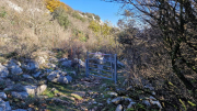Bueges_22_12-63