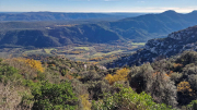 Bueges_22_12-65