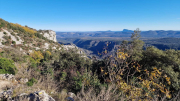 Bueges_22_12-66