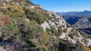 Bueges_22_12-69