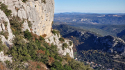 Bueges_22_12-72
