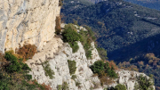 Bueges_22_12-73