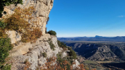 Bueges_22_12-74