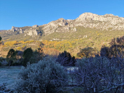 Bueges_22_12-8