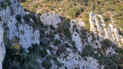 Bueges_22_12-80