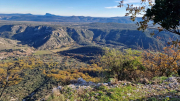 Bueges_22_12-81