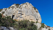 Bueges_22_12-84