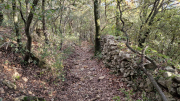 Bueges_22_12-88