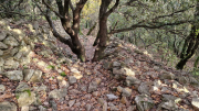 Bueges_22_12-89