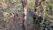 Bueges_22_12-90