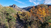 Bueges_22_12-91