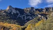 Bueges_22_12-93