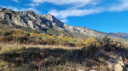 Bueges_22_12-94