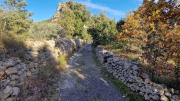 Bueges_22_12-95
