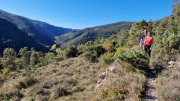 Gornies_22_11-11