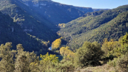Gornies_22_11-12