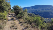 Gornies_22_11-21