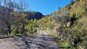 Gornies_22_11-3
