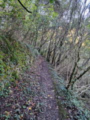 Gornies_22_11-4