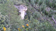 Gornies_22_11-50