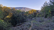 Gornies_22_11-51