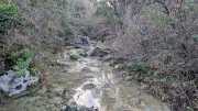 Gornies_22_11-5c