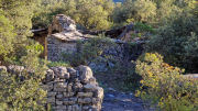 Gornies_22_11-62