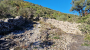 Gornies_22_11-66