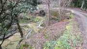 Gornies_22_11-69a