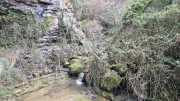 Gornies_22_11-69b