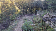 Gornies_22_11-7