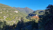 Gornies_22_11-9