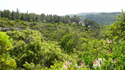 Minerve_22_05-76