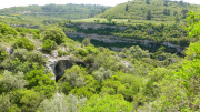 Minerve_22_05-81