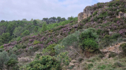 Nebian_22_10-12