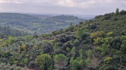 Nebian_22_10-14