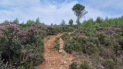 Nebian_22_10-16