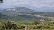 Nebian_22_10-23e