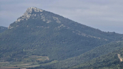 Nebian_22_10-24