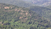 Nebian_22_10-26