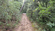 Nebian_22_10-30