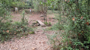 Nebian_22_10-31