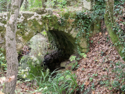 Nebian_22_10-34